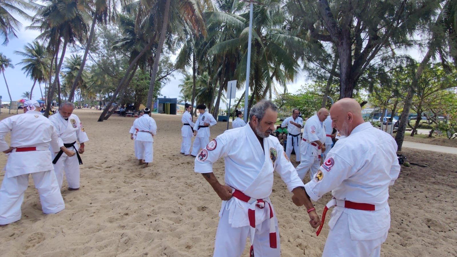 Maestros Isshinryu